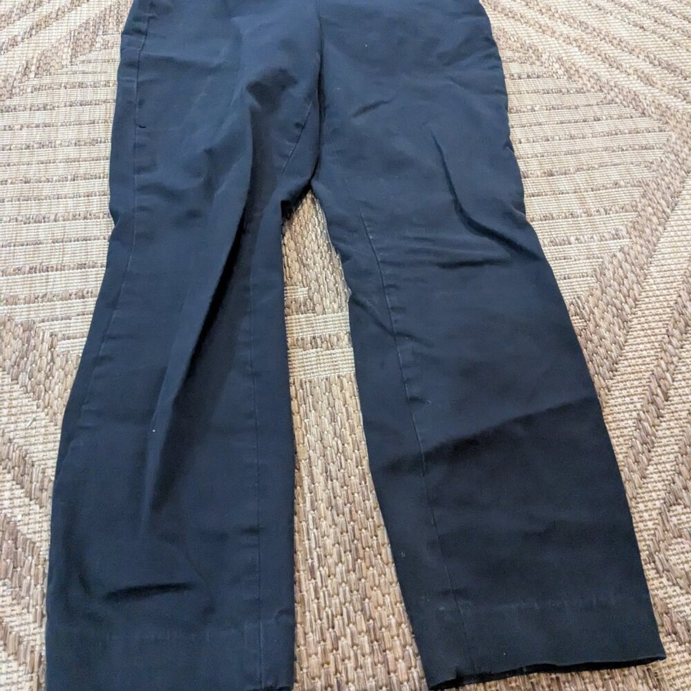 Everlane The Side-Zip Stretch Cotton Pant